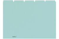 BIELLA Kartei-Leitkarten blanko A4 21045505U blau 25-teilig
