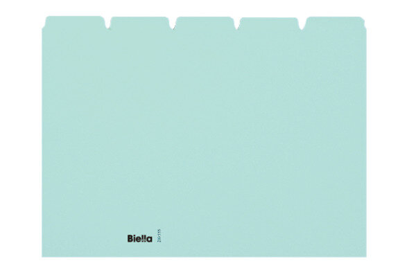 BIELLA Kartei-Leitkarten blanko A5 21055505U blau 25-teilig