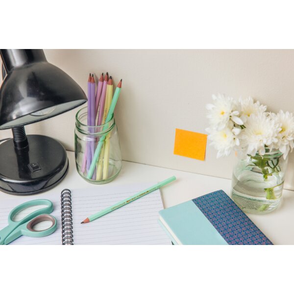 BIC Bleistift Evolution PASTEL, Härtegrad: HB, sortiert