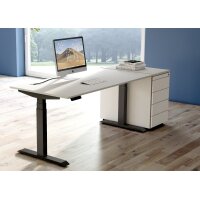 kerkmann Sitz-Steh-Schreibtisch Move 4, (B)1.200 mm, grau