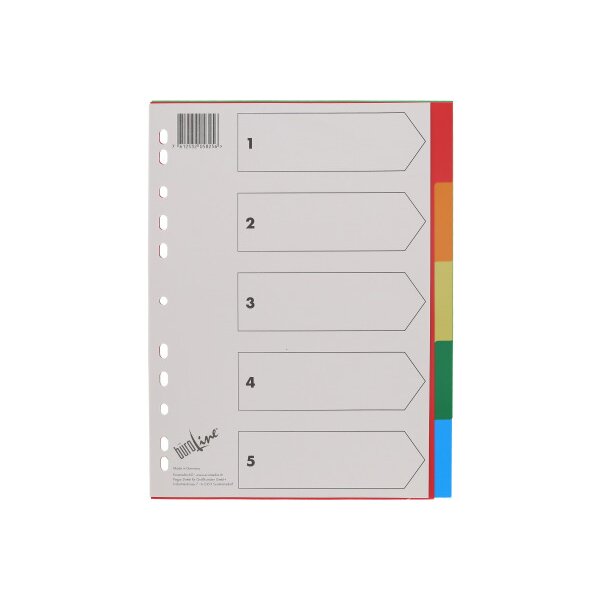 B&Uuml;ROLINE Register PP A4 40980 multicolor 5-teilig