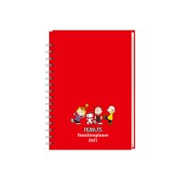 HEYE Familienagenda Peanuts 2027 21545+27 1W/2S DE...
