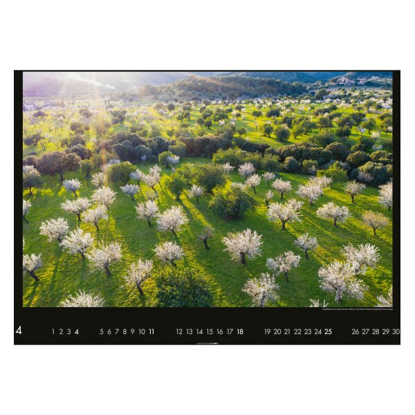 WEINGARTEN Calendrier 2027 2951900+27 Die Erde von oben DE 68x49cm