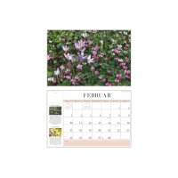 DUMONT Calendrier 2026 260371 Jardin AL 42x29cm