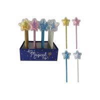 ROOST Crayon 4 ass. HPTS-123 Etoile