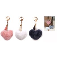 ROOST Schlüssel-/Taschenanhänger Lx0160 17x10cm...