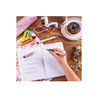 ONLINE Füllhalter College M 12565/3D Metallic Rose