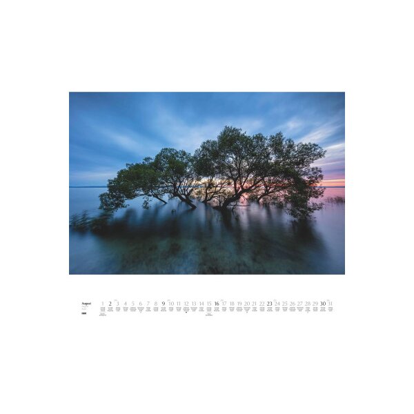 DUMONT Calendrier 2026 260364 Arbres ML 58.4x48.5cm