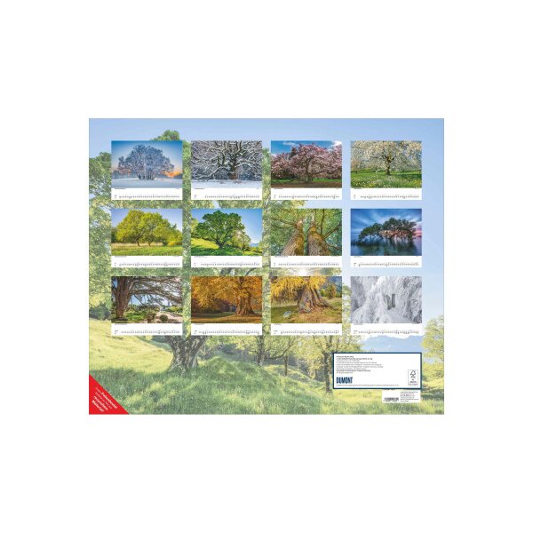 DUMONT Calendrier 2026 260364 Arbres ML 58.4x48.5cm