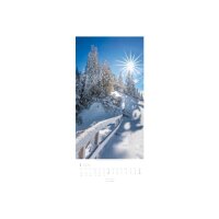 WEINGARTEN Calendrier 2026 3150200+26 Im Wald DE 33x68cm
