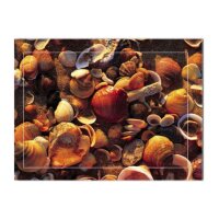 HASCHEMI Card Box 104 104 MUSCHELN