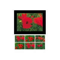 HASCHEMI Card Box 818 818 MOHNBLUMEN