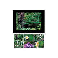 HASCHEMI Card Box 118 118 MONETS GARTEN