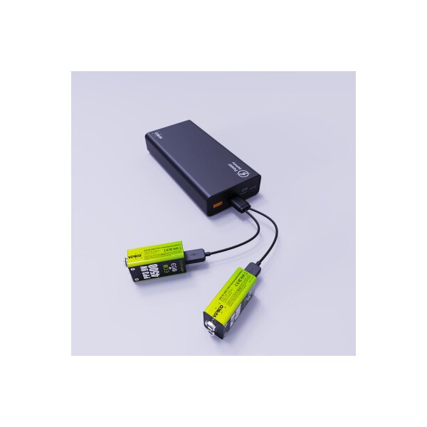 VERICO LoopEnergy Batterie USB-C 1UDBT-A3WEB2 9V/6LR61 (500mAh) 2 pi&egrave;ces
