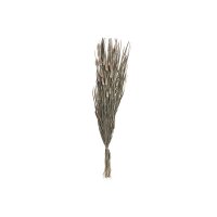 EGLO Trockenblume 90cm 428043 braun