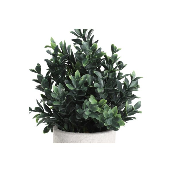 EGLO Kunstpflanze 23cm 428028 grün, im Topf