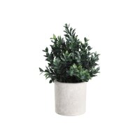 EGLO Kunstpflanze 23cm 428028 grün, im Topf