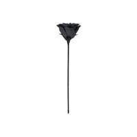 EGLO Kunstblume MOLAVE 428131 schwarz