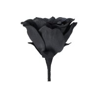 EGLO Kunstblume MOLAVE 428131 schwarz