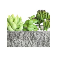 EGLO Kunstpflanze 14cm 428009 grün, im Topf