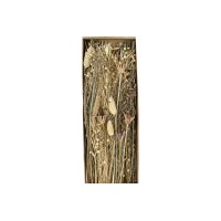 EGLO Fleur séchée 60cm 428038 beige