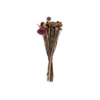 EGLO Fleurs séchées CARAQUET 60cm 428087...