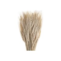 EGLO Fleur séchée 60cm 428041 beige