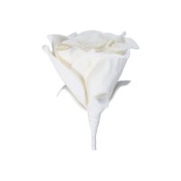 EGLO Fleur artificielle MOLAVE 428132 blanc