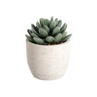 EGLO Kunstpflanze 11cm 428011 grün, im Topf