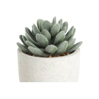 EGLO Kunstpflanze 11cm 428011 grün, im Topf