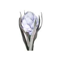 EGLO Fleur artificielle MOLAVE 428127 violet