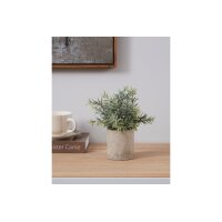 EGLO Kunstpflanze 24cm 428026 grün, im Topf