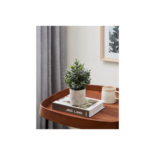 EGLO Kunstpflanze 22cm 428027 grün, im Topf