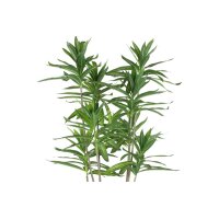 EGLO Plante artificielle 125cm 428023 vert, en pot