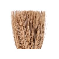 EGLO Fleurs séchées CARAQ 18cm 428078...