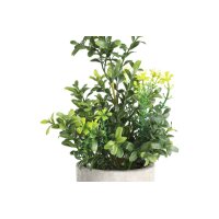 EGLO Kunstpflanze 25cm 428025 grün, im Topf