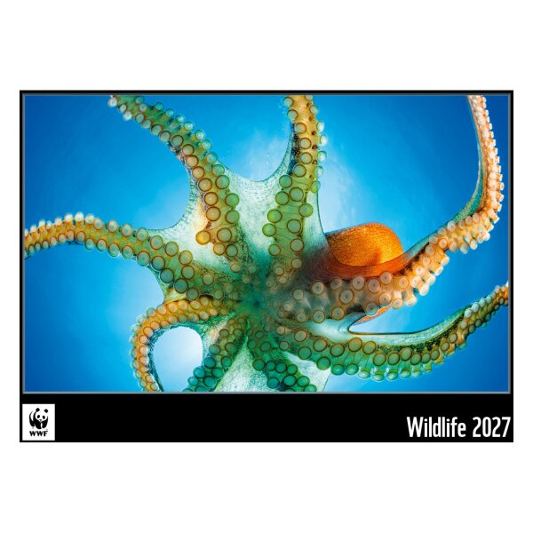 CALENDARIA Calendrier 2027 9783036206301 WWF Wildlife ML 34x48cm