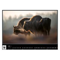 CALENDARIA Calendrier 2027 9783036206301 WWF Wildlife ML...