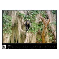 CALENDARIA Calendrier 2027 9783036206301 WWF Wildlife ML 34x48cm
