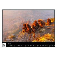 CALENDARIA Calendrier 2027 9783036206301 WWF Wildlife ML 34x48cm