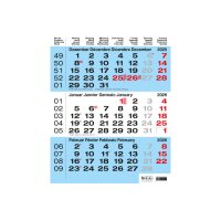 CALENDARIA Calendrier murale 3 mois 2026 9783036205519...