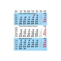 CALENDARIA Calendrier murale 3 mois 2026 9783036205519...