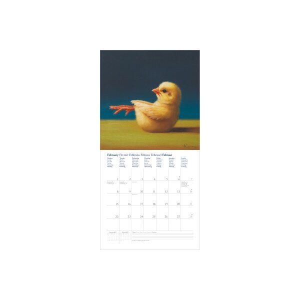 DUMONT Calendrier 2027 261558 Yoga Chicks 30x30cm