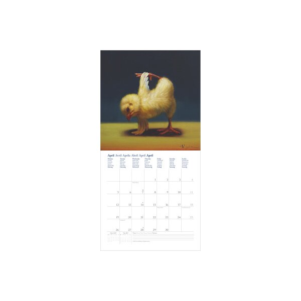 DUMONT Calendrier 2027 261558 Yoga Chicks 30x30cm