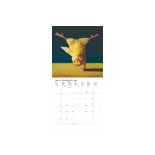 DUMONT Calendrier 2027 261558 Yoga Chicks 30x30cm