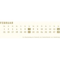 HEYE Bastelkalender 2027 22993+27 gold 21x29.7cm