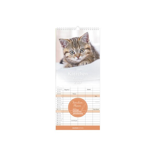 ALPHA EDITION Calendrier familial 2027 161075 Chatons 19.5x45cm