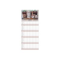 ALPHA EDITION Calendrier familial 2027 161075 Chatons 19.5x45cm