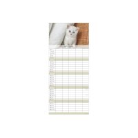 ALPHA EDITION Calendrier familial 2027 161075 Chatons 19.5x45cm