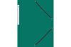BÜROLINE Pochette à élastique A4 614493 vert, plastique